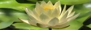 What is Breathwork?